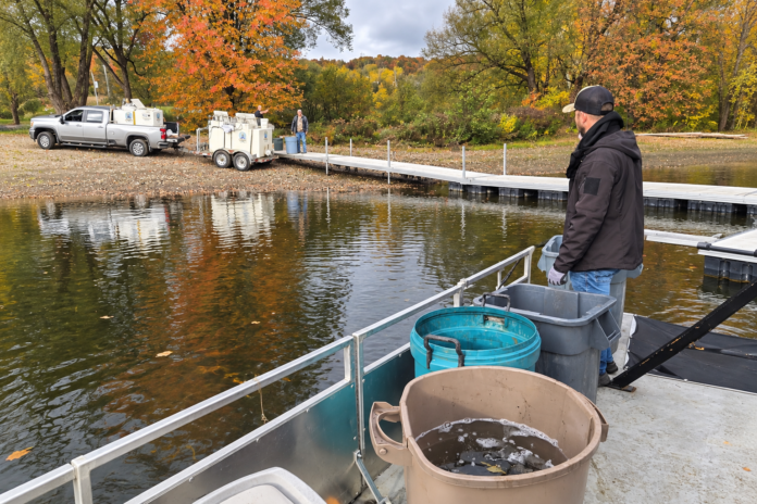 Lac Massawippi : 4 000 truites grâce aux dons